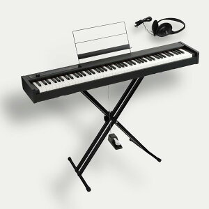 KORG D1 ROdqsAm X^X^hiWxj wbhzt Xs[J[X