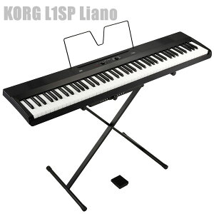 dqsAm 88Ձ@KORG L1SP Liano BLACK RO X^X^h Zbg
