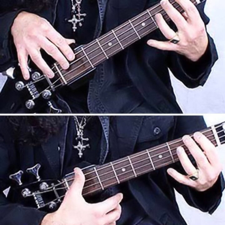楽天市場】SHREDNECK Low Rider BASS BLACK トレーニング : オクムラ 