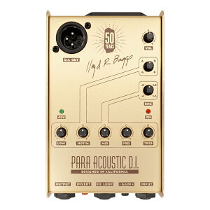 L.R.Baggs Gold Para D.I.�y���ʌ���z
