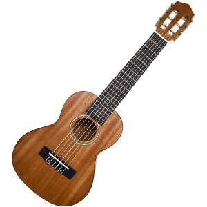 S.Yairi YU-GT-01 S.yairi ENM^[@\tgP[Xt