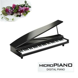 KORG MICRO PIANO BK RO ~jsAm