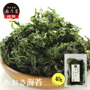 【店舗内買い回りで最大P10倍！】新物 高級 鹿児島県産 あおさ 海苔 40g送料無料 メール便チャック付袋入りアオサ 海…