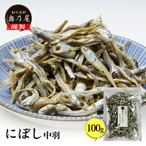 ϊ H 100g [ւ肱 ɂڂ  o`p o`p