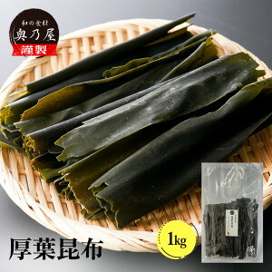 y12/04`XܓōőP10{IzkC HY tz 1kg [֋Ɩp z  o` kCY z