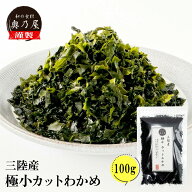 ＼!50%OFF!／三陸産 カットわかめ 極小サイズ 100g送料無料 メール便チャック付袋入り国産 乾燥 無添加 …