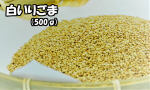 育 500g Ɩp [֐育 S} Ӗ 