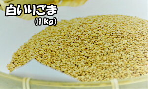 育 1kg Ɩp [֐育 S} Ӗ 