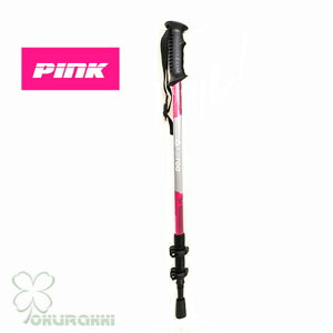 AEghA oRXgbN 2{Zbg ܂ Lk \ gp A~ y XgbN Γ XeBbN  EH[LO|[ oRp