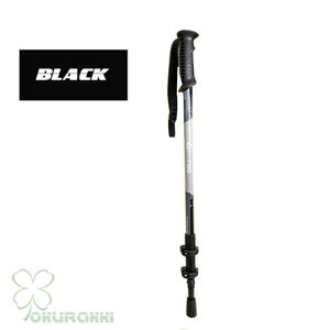 AEghA oRXgbN 2{Zbg ܂ Lk \ gp A~ y XgbN Γ XeBbN  EH[LO|[ oRp