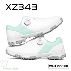 St StV[Y ėp K ʋC _C \tgXpCN fB[X XpCNV[Y Xj[J[ C q h lHv