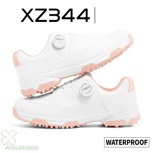 St StV[Y ėp K ʋC _C \tgXpCN fB[X XpCNV[Y Xj[J[ C q h lHv