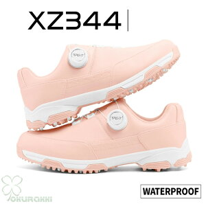 St StV[Y ėp K ʋC _C \tgXpCN fB[X XpCNV[Y Xj[J[ C q h lHv