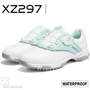 St StV[Y ėp K ʋC _C \tgXpCN fB[X XpCNV[Y Xj[J[ C q h lHv