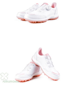 St StV[Y ėp K ʋC _C \tgXpCN fB[X XpCNV[Y Xj[J[ C q h lHv