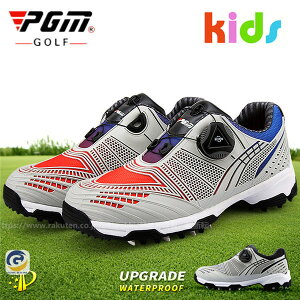 St StV[Y _C \tgXpCN LbY XpCNV[Y h lHv