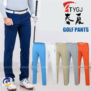 StEFA Y Opc St 傫TCY Xgb`  t ėp X|[c V샂f