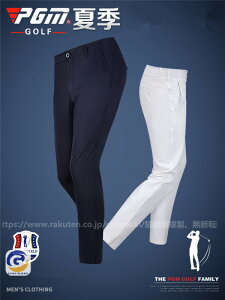 StEFA Y Opc St 傫TCY Xgb`  t ėp X|[c V샂f