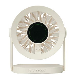 y2025VoIős̔IzVVx fXNt@PRO 啗 y nfBt@ ~j@ |@ ^@ gѐ@ Type-CΉ | ^ RpNg É  