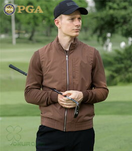 StxXg Y WPbg StEFA h ۉ H~ X|[cEFA jp am JWA