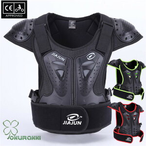 oCNEFA veN^[ 㔼g w  I   oCN {fBveN^[ ϏՌ ʋC