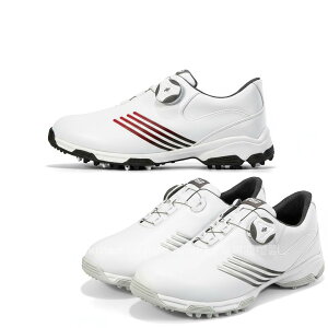 St StV[Y _C \tgXpCN fB[X XpCNV[Y h lHv