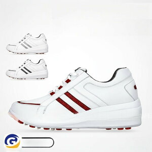 St StV[Y \tgXpCN fB[X XpCNV[Y h lHv