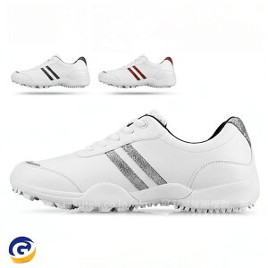 St StV[Y \tgXpCN fB[X XpCNV[Y h lHv