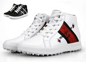 St StV[Y \tgXpCN fB[X XpCNV[Y h lHv