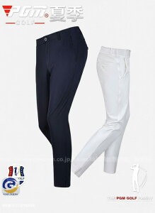 StEFA Y Opc St 傫TCY Xgb`  t ėp X|[c V샂f