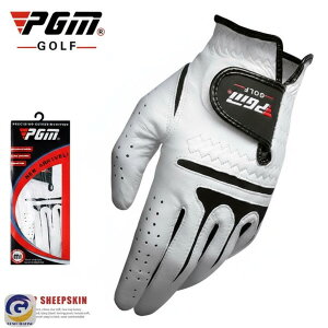 StO[u Y StEFA Stpi  ANZT[ JWA X|[c v[g Mtg