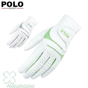 StO[u fB[X StEFA Stpi  ANZT[ JWA X|[c v[g Mtg