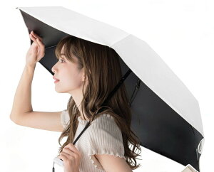 l |Pbg P ܂肽 CICIBELLA P SՌ y 킸200g UV΍ t܂莮 ܂ݎP 6{ uvJbg O΍ Ă΍ Y fB[X vbV y 傫 