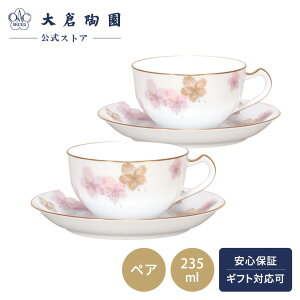 yq ICzV[Y uv Jbv\[T[ yAZbg R[q[Jbv eB[Jbv 235ml {    t zCg  蕨 Mtg v