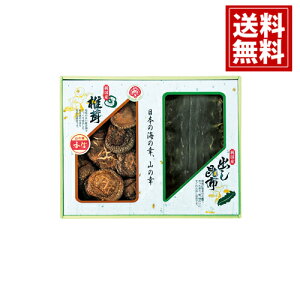 yz Y ؍Mő E z l   j Mtg yY  j A MtgZbg Cj Ԃ v[g