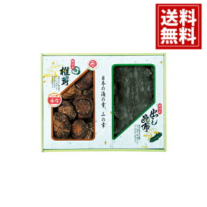 yz Y ؍Mő E z l   j Mtg yY  j A MtgZbg Cj Ԃ v[g