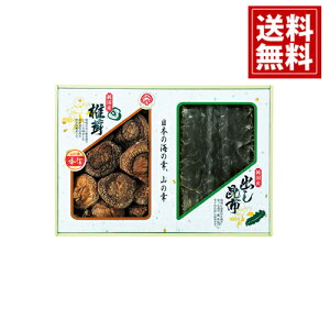 yz Y ؍Mő E z l   j Mtg yY  j A MtgZbg Cj Ԃ v[g