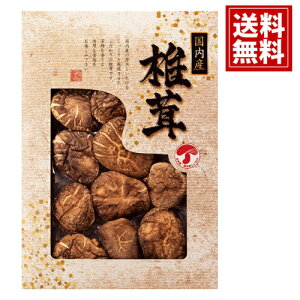 ���Y �ǂ񂱒ő� ���� �y���������z���T�Ԃ� �V�C�^�P ���� ���� ��� ���j �M�t�g ���y�Y ������ ���j �����A �M�t�g�Z�b�g ���C�j ���Ԃ� �v���[���g JMD-20IN