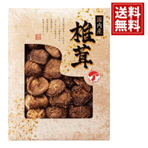 Y ǂ񂱒ő  yzTԂ VC^P    j Mtg yY  j A MtgZbg Cj Ԃ v[g JMD-20IN