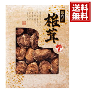 Y ǂ񂱒ő  yzTԂ VC^P    j Mtg yY  j A MtgZbg Cj Ԃ v[g JMD-20IN