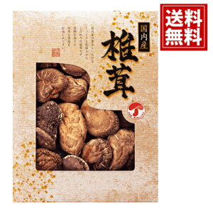 Y ǂ񂱒ő  yzTԂ VC^P    j Mtg yY  j A MtgZbg Cj Ԃ v[g JMD-20IN