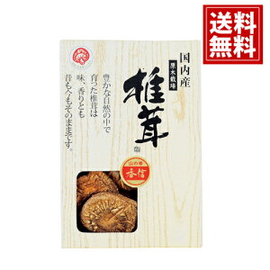 yzY ؍Mő VC^P    j Mtg yY  A j A MtgZbg Cj Ԃ v[g YS-10N3