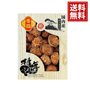 yzY ؒő VC^P    j Mtg yY  A j A MtgZbg Cj Ԃ v[g YD-40N3