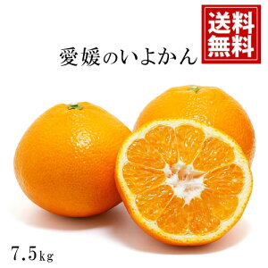 y󂠂zYn QYy8kgz悩yz