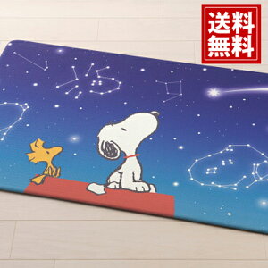 s[ibc PVCO}bg 120cm yz Xk[s[ CeA 킢 LN^[ j oYj j Cj j oYj zj o Ԃ a