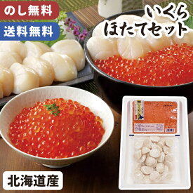 北海道産 いくら ほたて セット 網走水産 【メーカー直送】 ほたて貝柱 刺身 いくら醤油漬け 海鮮 産直 北海道 ホタテ イクラ丼 おかず おつまみ 国産 お取り寄せ お歳暮ギフト 日本産 取り寄せ 一人暮らし 小分け 御歳暮 冷凍 お祝い お礼 贈答用 贈り物 一万円