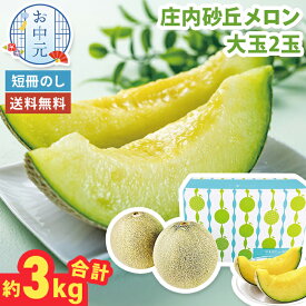 お中元 庄内メロン 山形県産 大玉 2玉 青肉 約3kg 【メーカー直送】（出荷期間:7月上旬～） フルーツギフト メロン お中元ギフト 庄内砂丘メロン 高級 めろん 山形 贈答用 果物ギフト 国産 果物 フルーツ 産直 御中元 御供 贈答用 贈り物 送料無料 夏ギフト 御供物 常温