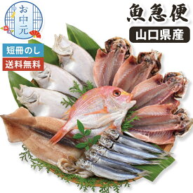 【お中元】干物 魚急便 山口産 海匠國近 5種 19枚 お中元ギフト 【メーカー直送】 国産 おつまみ 山口県 高級 海鮮 国近商店 老舗 あじ かれい 連子鯛 うるめ するめいか 魚 さかな お取り寄せ 惣菜 簡単調理 おかず 冷凍 おそうざい グルメ うるめ丸干し 6000円