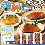 煮魚 焼魚 ギフトセット 父の日 ギフト 山陰大松 氷温熟成 【メーカー直送】 父の日ギフト 送料無料 海鮮…