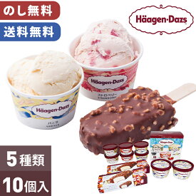 ハーゲンダッツ ギフト アイス スペシャルセット 詰め合わせ のし無料 送料無料 【メーカー直送】（※北海道・沖縄・離島への配送不可） アイスクリーム 詰め合わせ 10個入 5000円 お取り寄せ 有名店 アソート セット 洋菓子 内祝い お礼 プレゼント 贈り物 お返し